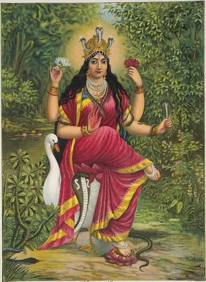 Manasa