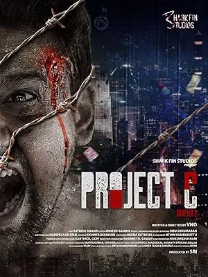 Project C (Chapter 2) poster